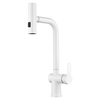 Sly Mrathed Nickel Water Tap Modern Kitchen Tap